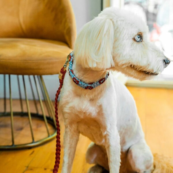 Κολάρο Heartmade - Σκούρο γαλάζιο/κεραμιδί