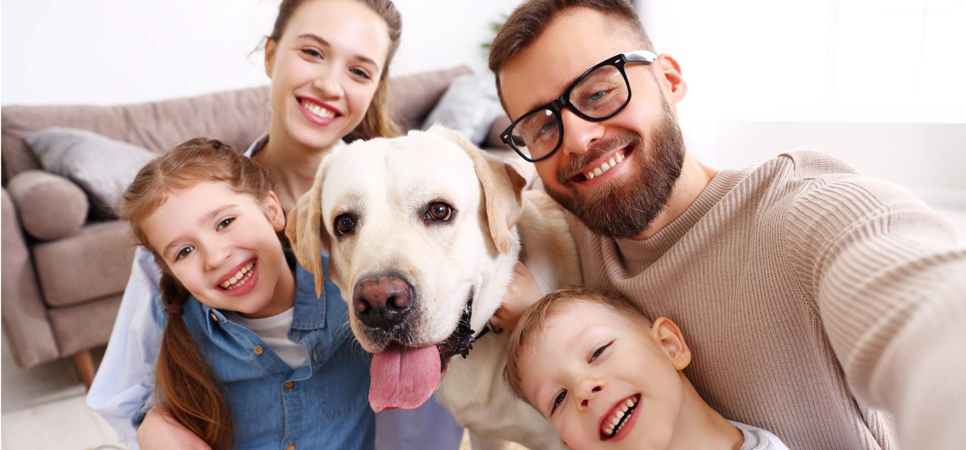 skilos se oikogeneia