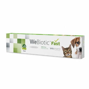 Wepharm WeBiotic Fast Προβιοτικά Σκύλου & Γάτας σε Πάστα 15ml