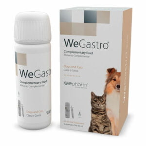WePharm Wegastro 60ml