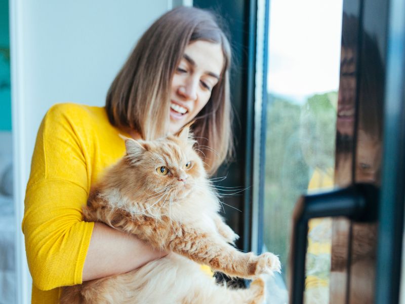 Παθήσεις στις Γάτες