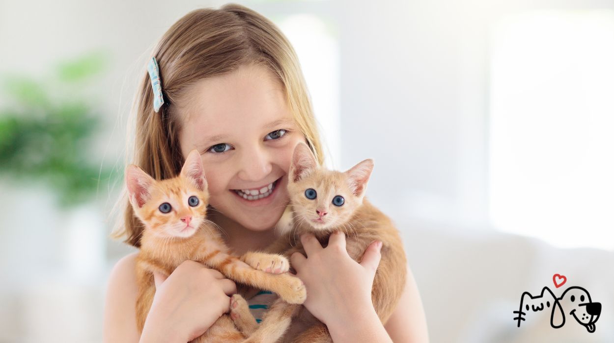 προσαρμογή της γάτας