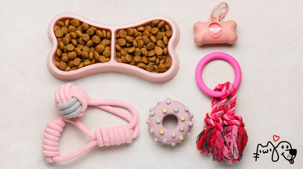 Αξεσουάρ για σκύλους