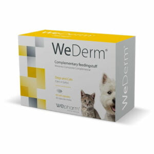 Wepharm WeDerm 60tabs