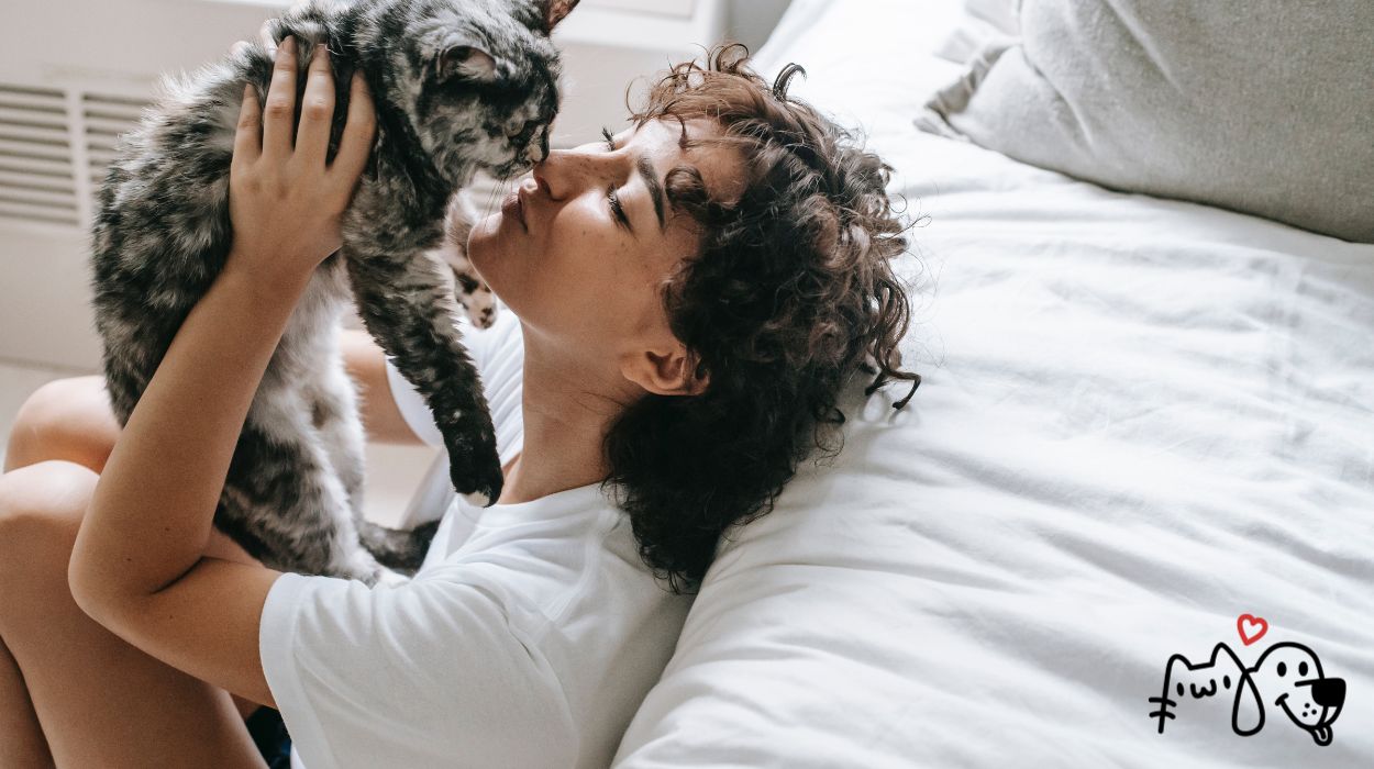 Περιβάλλον για τη Γάτα