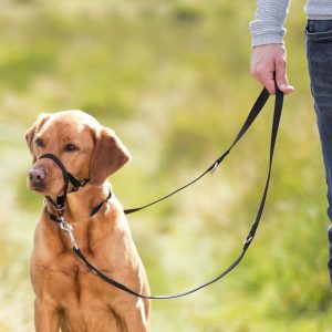 Trixie top trainer training harness
