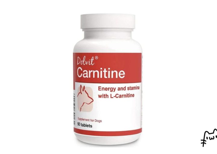 dolvit carnitine
