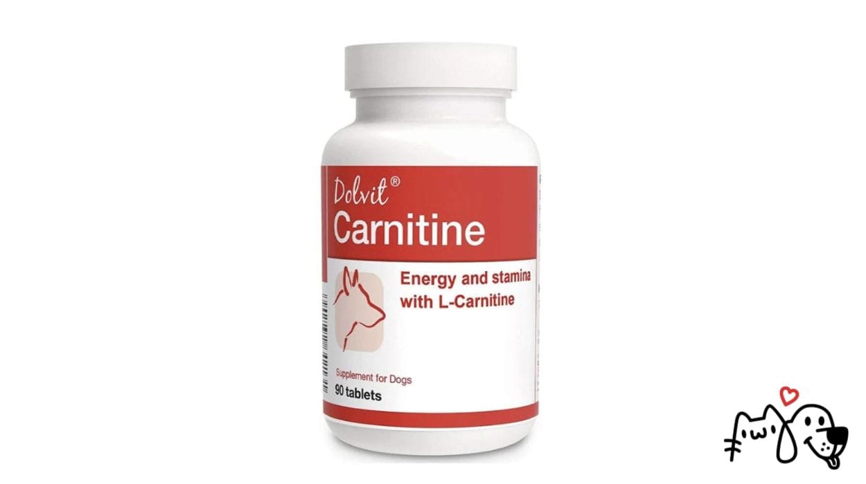 dolvit carnitine