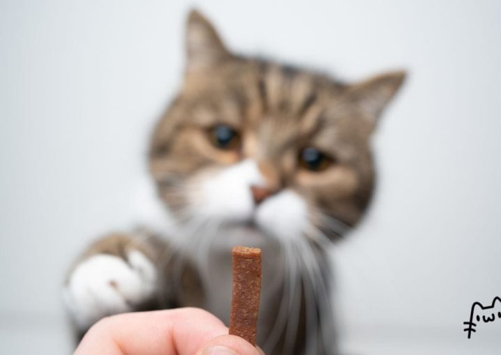 λιχουδιές SPECIFIC