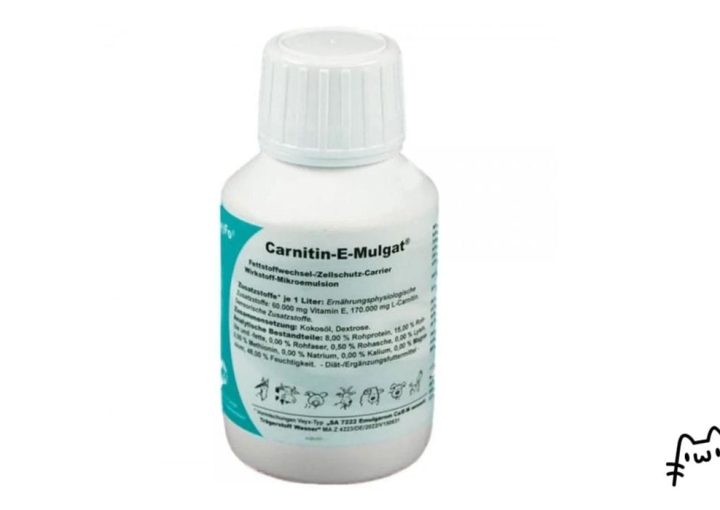 Carnitine E-mulgat