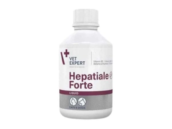 Vet Expert Hepatiale Forte Liquid 250ml - Συμπλήρωμα Διατροφής για Σκύλους και Γάτες