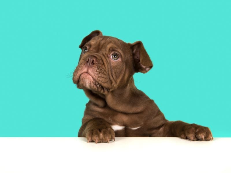 CH Blocan Σιρόπι