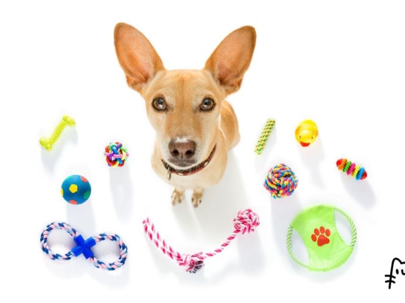 παιχνίδια για σκύλους