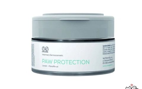 Vet Expert Paw Protection