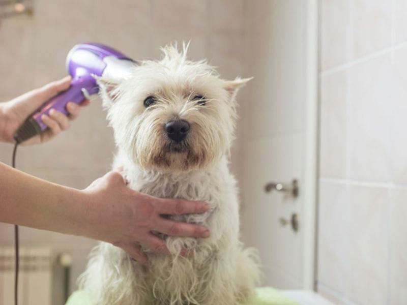 Σαμπουάν Dr Seidel