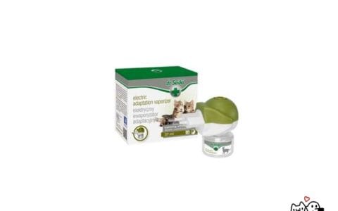 Dr Seidel Electric Adaptation Vaporizer