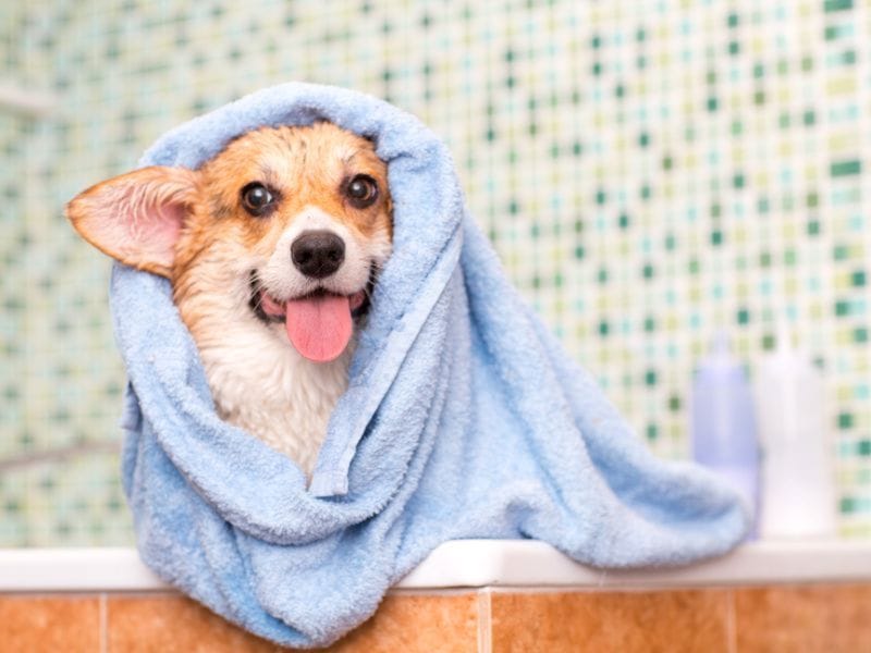 Σαμπουάν Dr Seidel