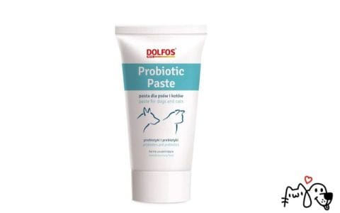 Probiotic Paste Dolfos Pets