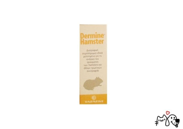 Dermine Hamster