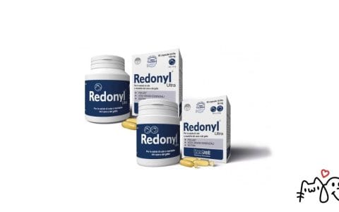 Redonyl Ultra